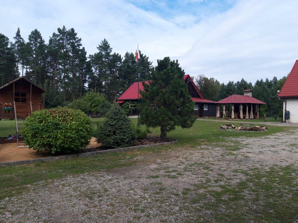 Pokoje W Lesie Miłomłyn Exterior foto