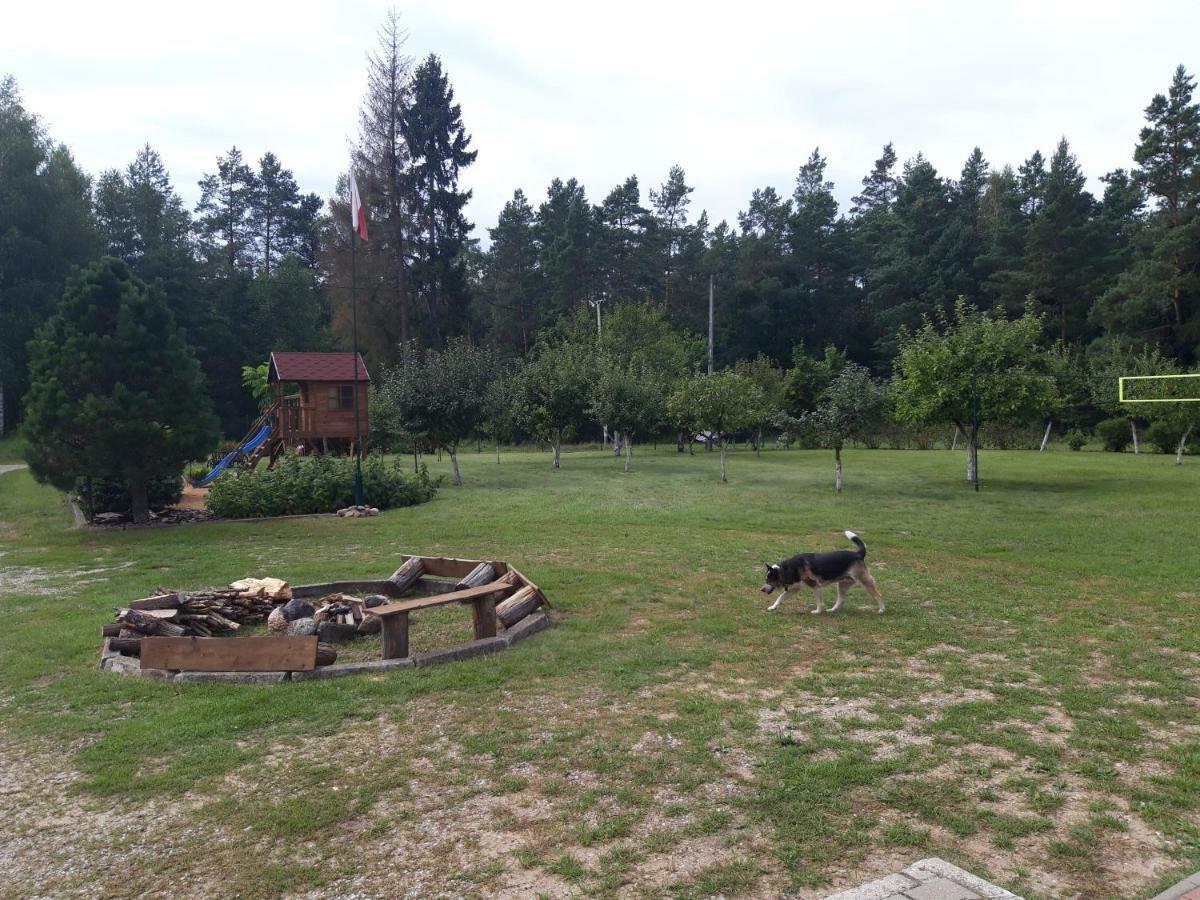 Pokoje W Lesie Miłomłyn Exterior foto